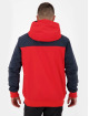 Alife & Kickin Lightweight Jacket Dylanak colored