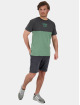Alife & Kickin t-shirt Leo groen