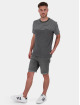 Alife & Kickin T-shirts Leopold Z grå