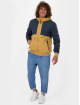 Alife & Kickin Transitional Jackets Dylanak brun