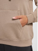 Alpha Industries Hoody New Basic beige