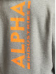 Alpha Industries Mikiny Back Print Neon Print šedá