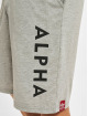 Alpha Industries Short Jersey gris
