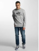 Alpha Industries Sweat & Pull Basic gris