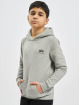 Alpha Industries Sweat capuche Basic gris