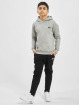 Alpha Industries Sweat capuche Basic gris
