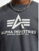 Alpha Industries Swetry Basic szary