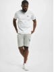 Alpha Industries T-Shirt Basic Small Logo Rainbow Ref. white