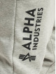Alpha Industries tepláky Basic AI šedá