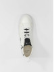 Armani Sneakers Exchange Music Box bialy