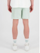Black Bananas Badshorts Voyage grön