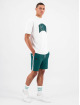 Black Bananas Camiseta Voyage verde