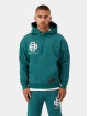 Black Bananas Hoody Mono Lux groen