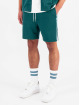 Black Bananas Shorts Palm verde