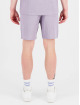 Black Bananas Shorts Monte Carlo violet