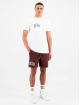Black Bananas t-shirt Status bruin