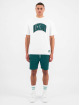 Black Bananas t-shirt Voyage groen