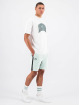 Black Bananas T-shirt Voyage grön