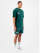 Black Bananas t-shirt Resort groen