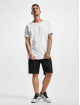 Brandit Shorts Packham Vintage sort