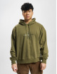 Calvin Klein Hoodies Natural Washed oliven