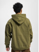 Calvin Klein Hoodies Natural Washed olivový