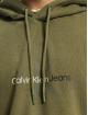 Calvin Klein Hoody Natural Washed olijfgroen
