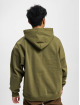 Calvin Klein Sweat capuche Natural Washed olive