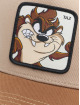 Capslab Verkkolippikset Looney Tunes beige
