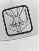 Capslab Verkkolippikset Looney Tunes harmaa