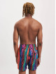 Carlo Colucci Boxer da mare Logo variopinto