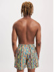 Carlo Colucci Boxer da mare Swim verde