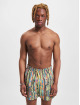Carlo Colucci Short de bain Swim vert