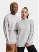 Carlo Colucci trui Parallelo RH Unisex beige