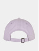 Cayler & Sons Casquette Snapback & Strapback Day Dreamin Curved pourpre