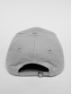 Cayler & Sons Snapback Cap C&s Wl Drop Out Curved grey