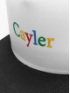 Cayler & Sons Snapback Cap WL Search N Destroy white
