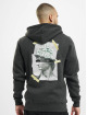 Cayler & Sons Sweat capuche Wl Dollar Mind gris