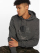 Cayler & Sons Sweat capuche PA Small Icon gris