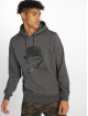 Cayler & Sons Sweat capuche PA Small Icon gris
