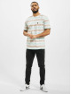 Cayler & Sons T-Shirt WL Inside Printed Stripes blanc