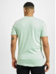 Cayler & Sons T-Shirt Big Tyme vert