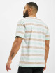 Cayler & Sons T-Shirty WL Inside Printed Stripes bialy