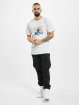 Cayler & Sons T-Shirty Wl Ca$h Flow bialy