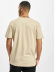 Cayler & Sons T-skjorter Changes beige