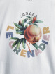 Cayler & Sons T-skjorter Le Grenadier hvit