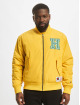 Champion Bomberjacke Stranger Things gelb