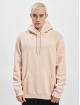 Champion Hoodies Logo beige