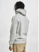 Champion Hoodies Basic grå