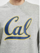 Champion Hoodies Crewneck grå